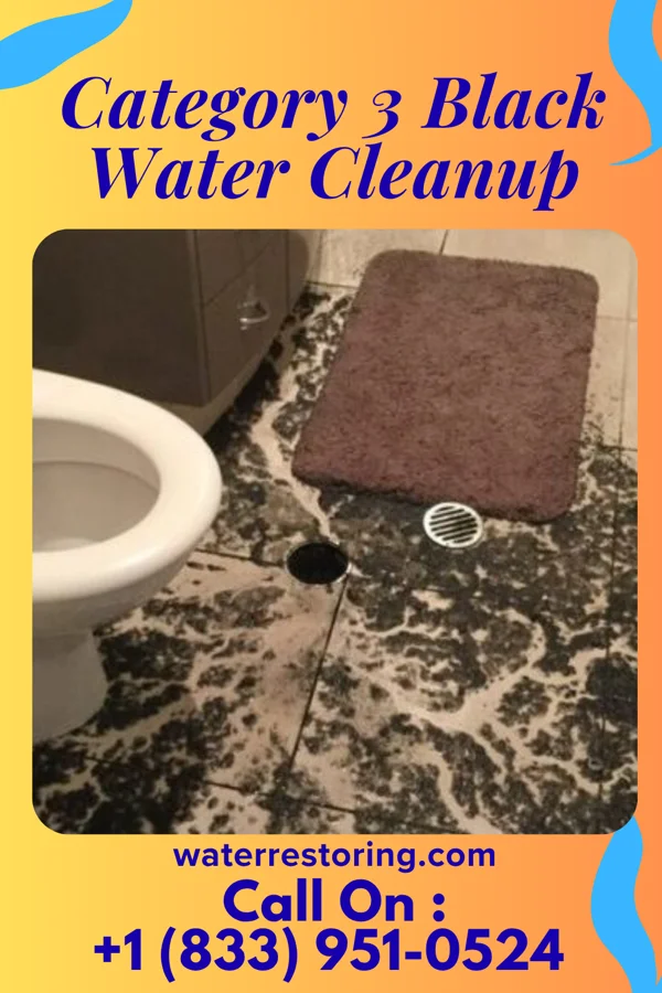 Category 3 Black Water Cleanup in Newport, VT