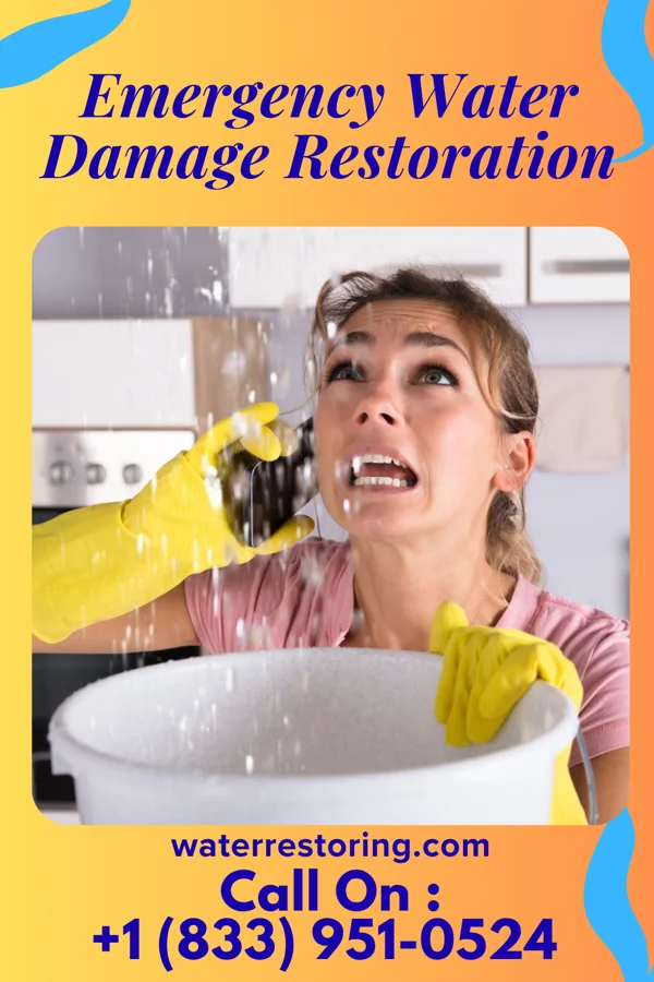 Emergency Water Damage Restoration in Newport, VT