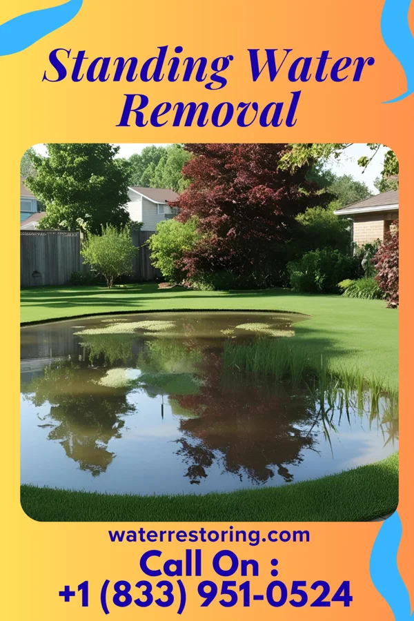Standing Water Removal in Newport, VT